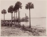 St. John's River