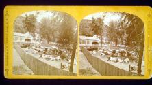 Cold River Cattle Yards