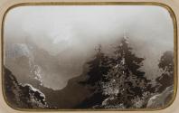[Mountain landscape with pine trees]