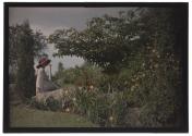 Ethel Dietz Nichols