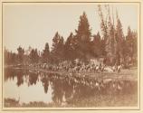 The U.S.G.S. En-Route with Pack Train. Yellowstone Series 1871.