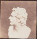 Bust of Patroclus