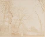 [Bridge and trees]