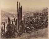 A Glimpse of Guanajuato. Mexico.