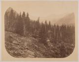 [Middle Creek near Mt. Blackmore]