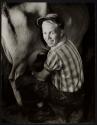 Milking a Cow, Wisconsin