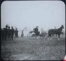 Crowd & horses