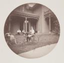 [Boy in front of house on tricycle with dogs]