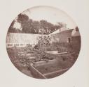 [View of garden and greenhouse]