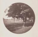 [Lawn view]