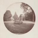 [Shrub on lawn]