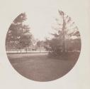 [View of road from lawn]