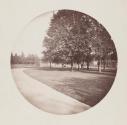 [View of lawn from driveway]