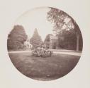 [Shrub on lawn]