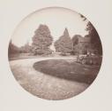 [Driveway and trees]