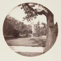 [Side view of house with trees]