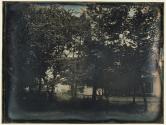 [Part of the Henry Clay estate "Ashland" outside of Lexington Kentucky]