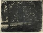 [Part of the Henry Clay estate "Ashland" outside of Lexington Kentucky]