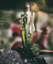 Untitled (H Stern)