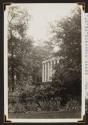 [Exterior view of foliage outside the president of Drew Theological Seminary's house]