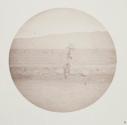 [Coastal wall]