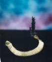 Untitled (H Stern)