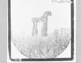 [Untitled]