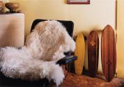 Dewitt's Eames chair and skateboards, Venice, CA