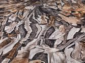 Dryland Farming #18, Monegros County, Aragon, Spain
