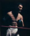 Untitled (Boxing)
