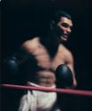 Untitled (Boxing)