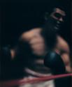 Untitled (Boxing)