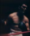 Untitled (Boxing)