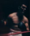Untitled (Boxing)
