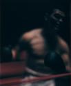 Untitled (Boxing)