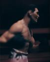 Untitled (Boxing)