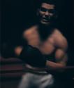 Untitled (Boxing)