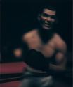 Untitled (Boxing)