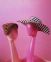Untitled (Barbie Outtakes)