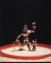 Untitled (Circus)