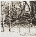 Untitled (RIT)