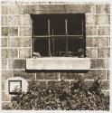 Untitled (RIT)