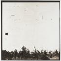 Untitled (RIT)