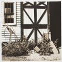 Untitled (RIT)