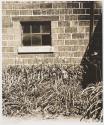 Untitled (RIT)