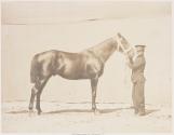 Victorieux