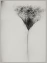 [Nude Eleanor, pubic area, thighs closed]