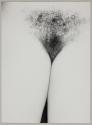 [Nude Eleanor, pubic area, thighs slightly parted]