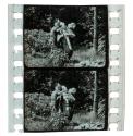 Alboino e Rosmunda