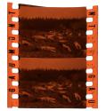 [Unidentified film clipping no. 69..102; 6894...6924; 20350...20356]